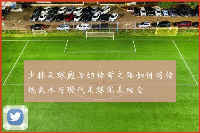 少林足球彪马的传奇之路如何将传统武术与现代足球完美结合