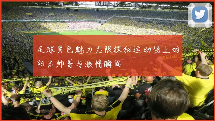 足球男色魅力无限探秘运动场上的阳光帅哥与激情瞬间