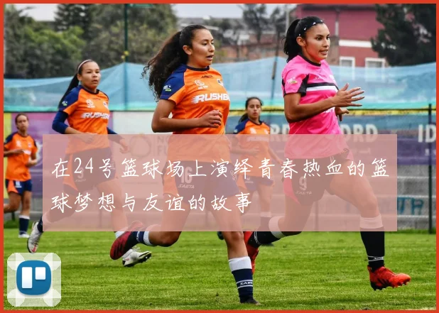 在24号篮球场上演绎青春热血的篮球梦想与友谊的故事