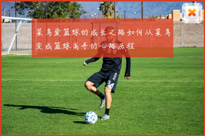 菜鸟爱篮球的成长之路如何从菜鸟变成篮球高手的心路历程