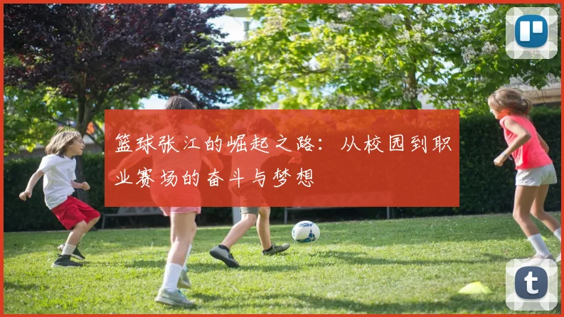篮球张江的崛起之路：从校园到职业赛场的奋斗与梦想