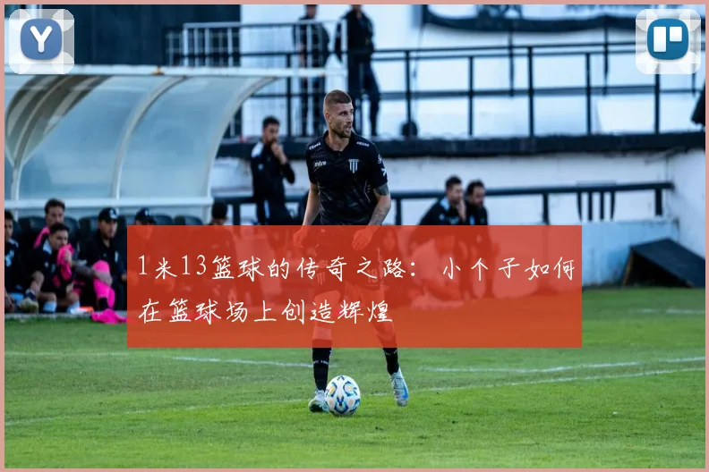 1米13篮球的传奇之路：小个子如何在篮球场上创造辉煌