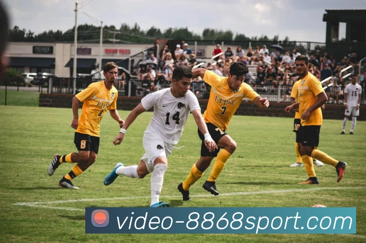 8868入口发展历程